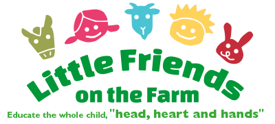 Little Friends LLC